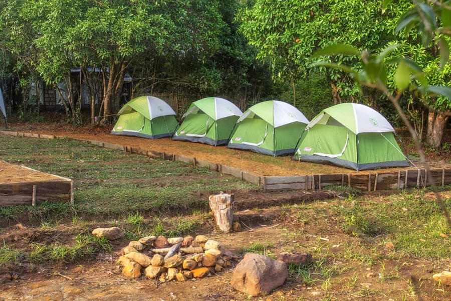 Nature Camping In Mawsynram Meghalaya Image