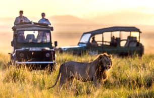 Shqo1jo2tiggv66yrwwyaozx4xqr dl.beatsnoop.com 3000 qd1ntbp9km