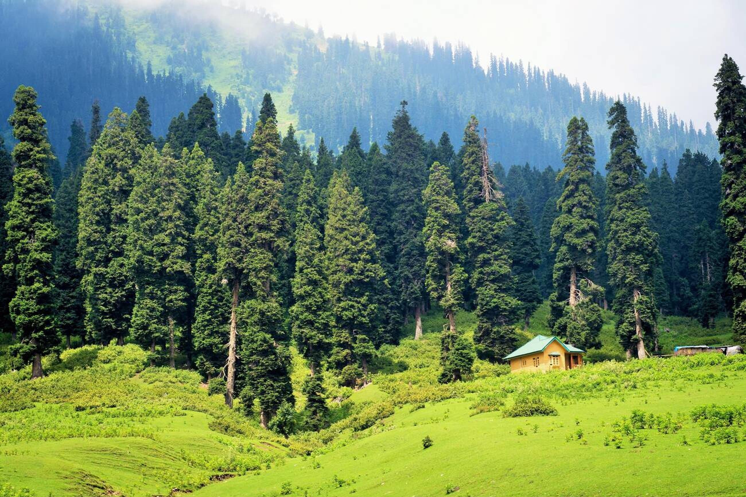 Breathe in the freshness of Doodhpathri’s endless green meadows