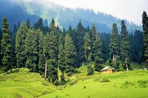 Breathe in the freshness of Doodhpathri’s endless green meadows
