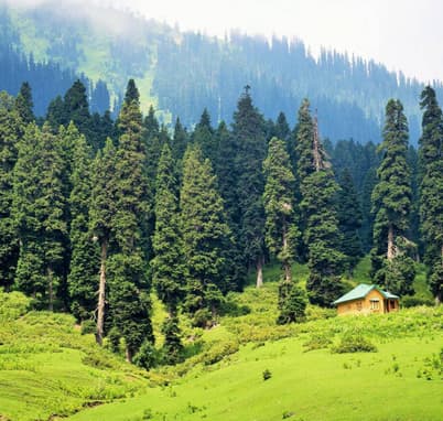 Breathe in the freshness of Doodhpathri’s endless green meadows