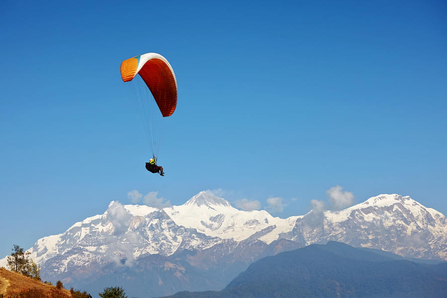Paragliding In Dharamshala Image