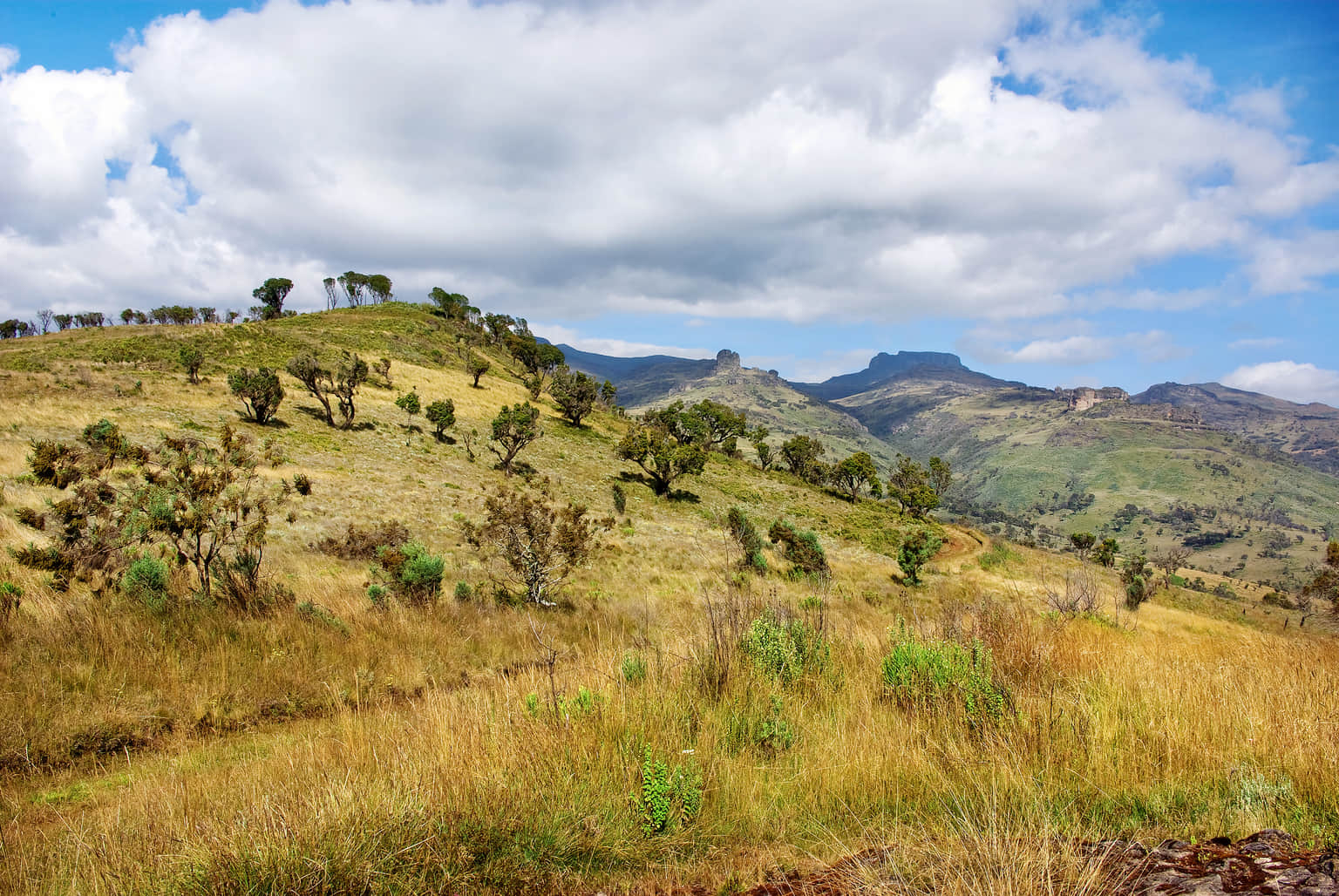Mount Elgon National Park