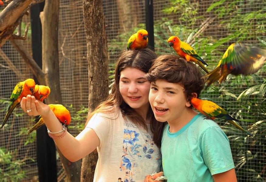 Timing And Duration To Visit Phuket Bird Park