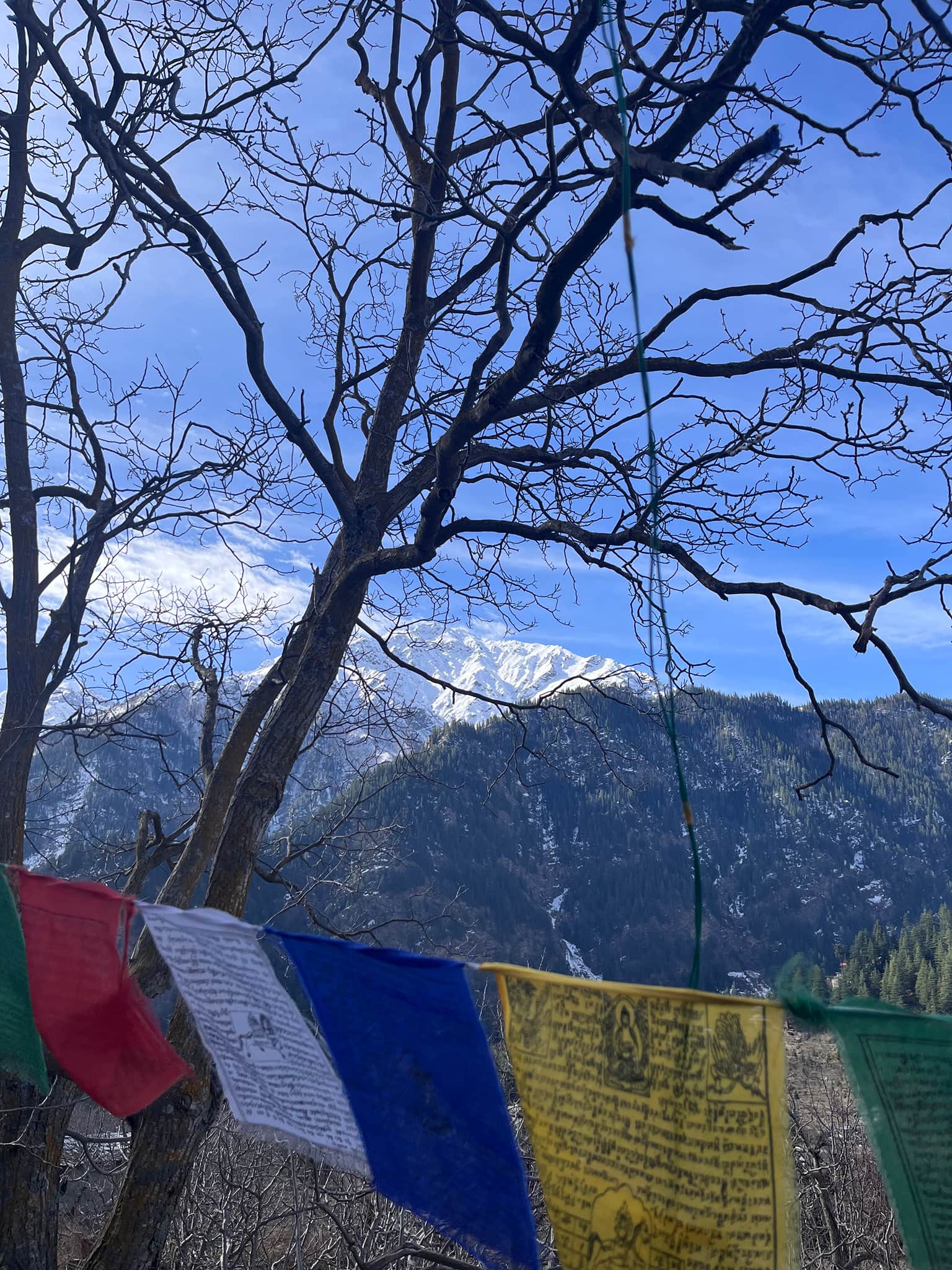 Photo from Dixita Barad's trip