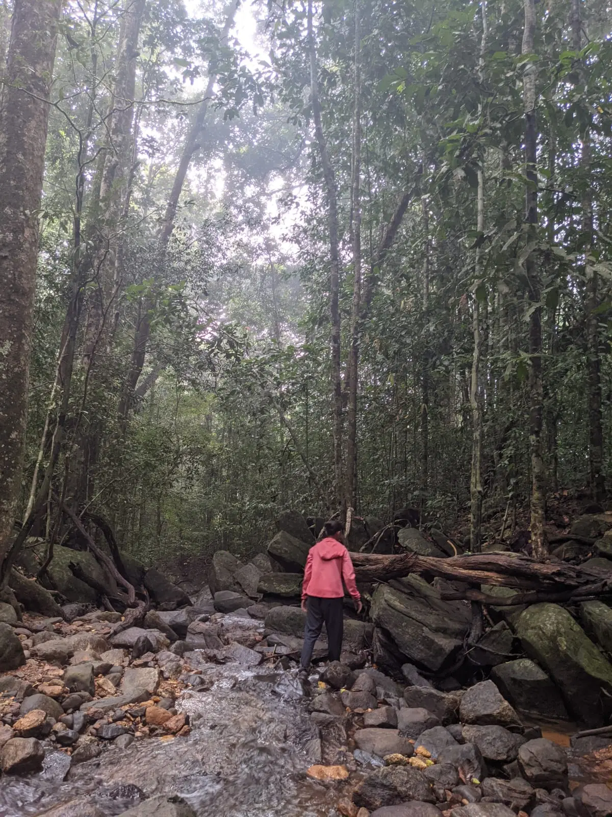 Photo from K Deeksha's trip