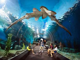 Underwater World Pattaya Tickets