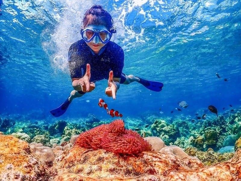 Why Experience Snorkeling in Pattaya?