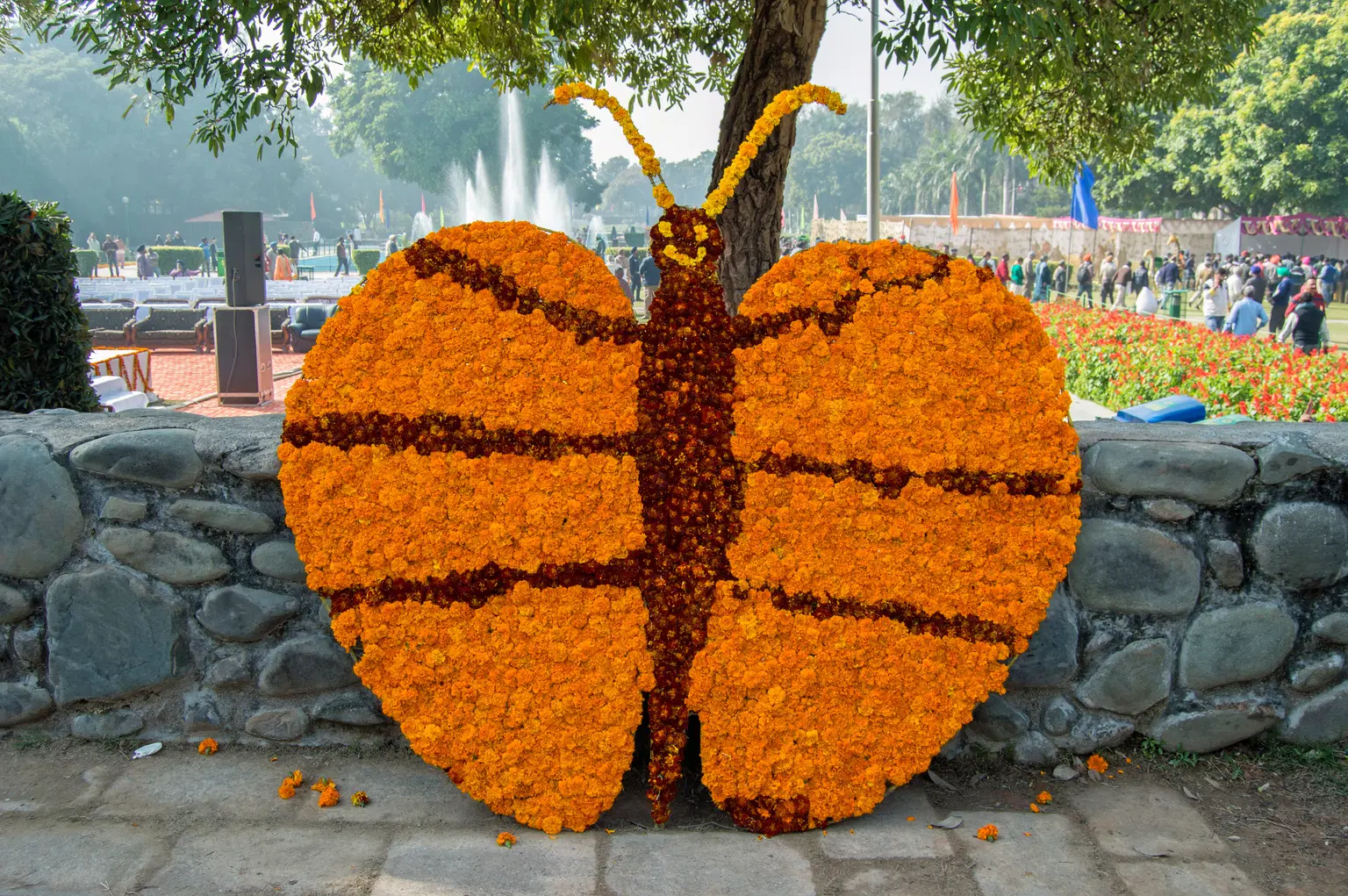 Butterfly Park
