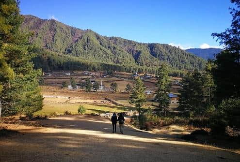 Hike the Gangtey Nature Trail