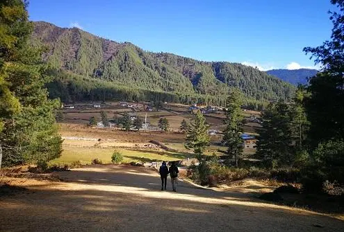 Hike the Gangtey Nature Trail