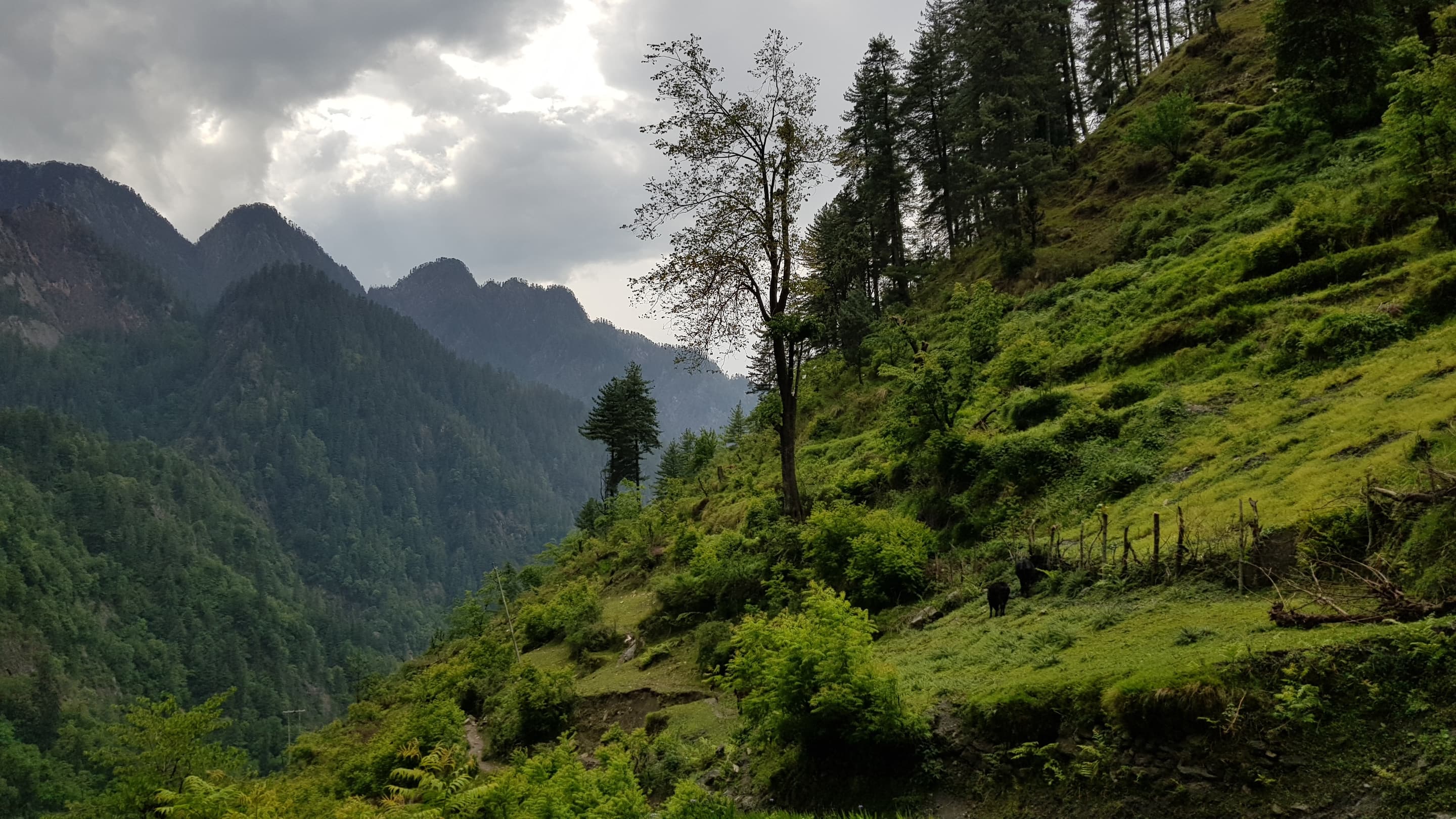 Kasol Holiday Packages from Coimbatore