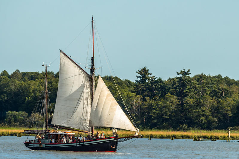 Take the Dockside Tour