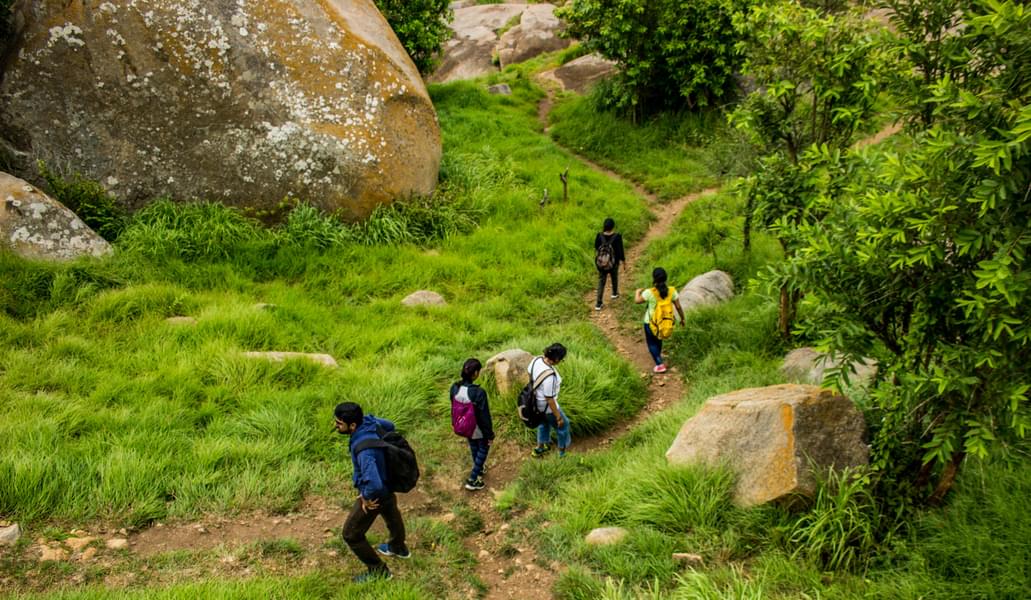 Uttari Betta Trek Image