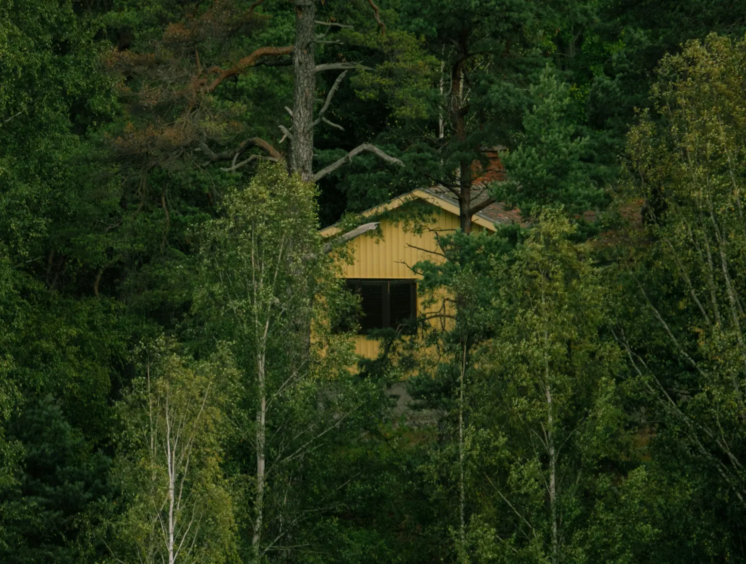 Tree House Stay, <em>Munnar</em>