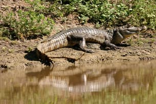 Slejbyz07pjohf2r6315k8xw436s downpic.cc image2658715