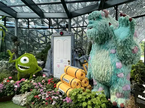 Activity & SightSeeing Image