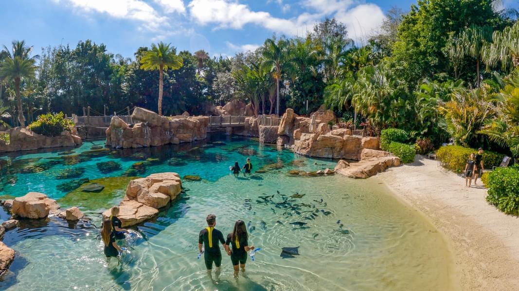 Discovery Cove Tickets Image