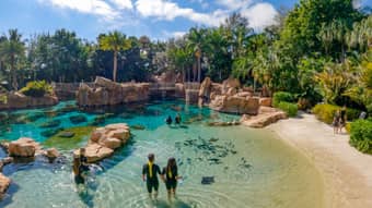 Visit the Discovery Cove Park offering an exciting tropical day out with your loved ones
