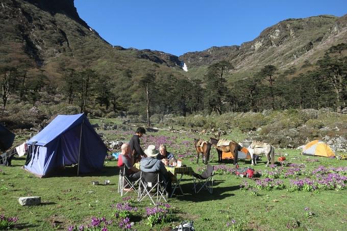 Singalila trek