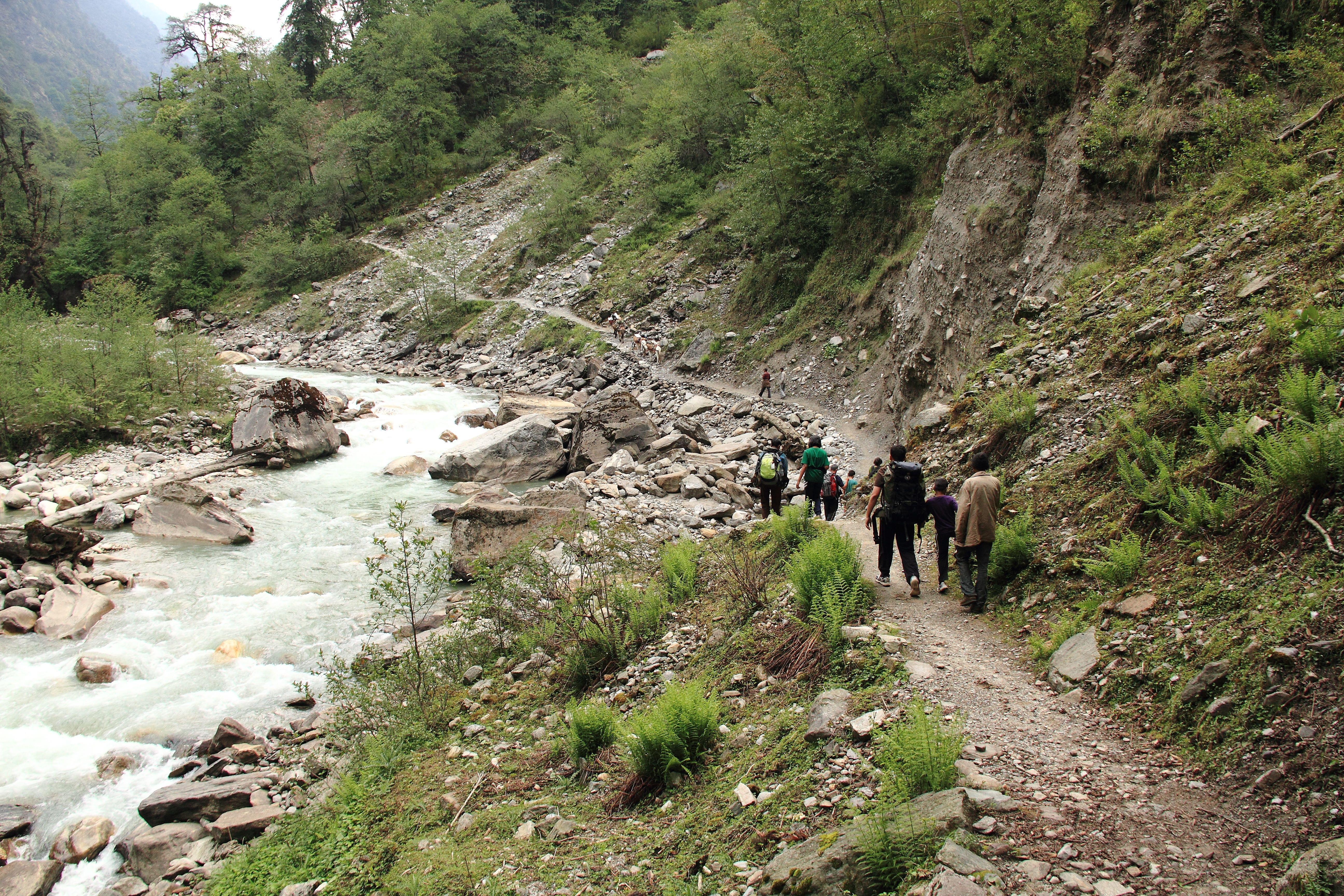 Pindari Glacier Trek