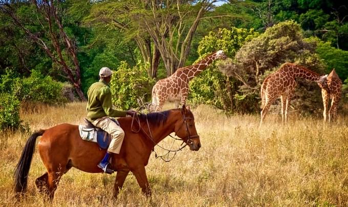 Horseback safaris.jpg