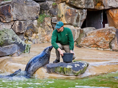 See how the friendly staff takes cares of the animals
