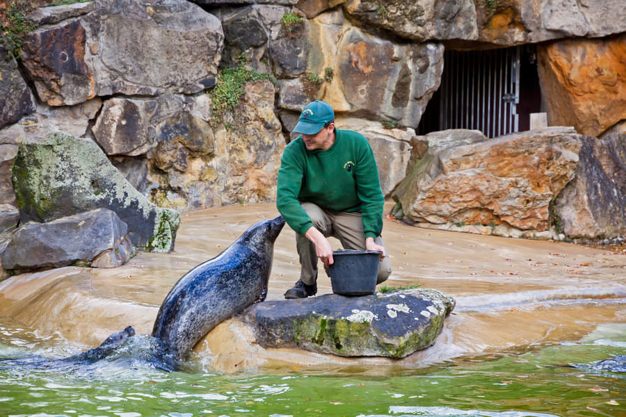 See how the friendly staff takes cares of the animals