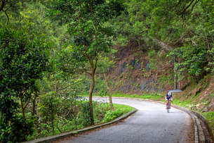 Snayiikg77j3h5rxcdgf2lnhjmxx 1564835593 shutterstock 191596493