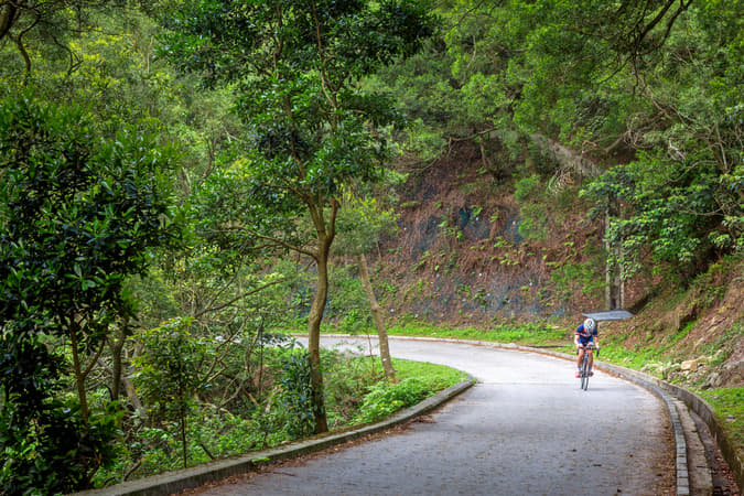 Snayiikg77j3h5rxcdgf2lnhjmxx 1564835593 shutterstock 191596493