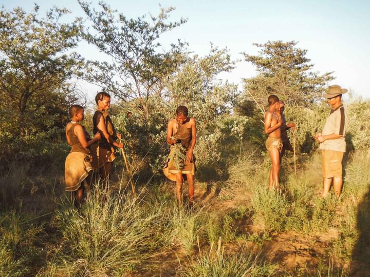 Walk with  the San Bushmen