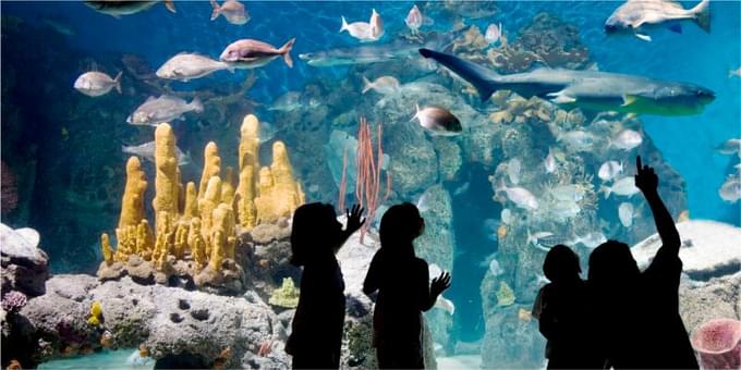 Aquarium in Temaiken Biopark