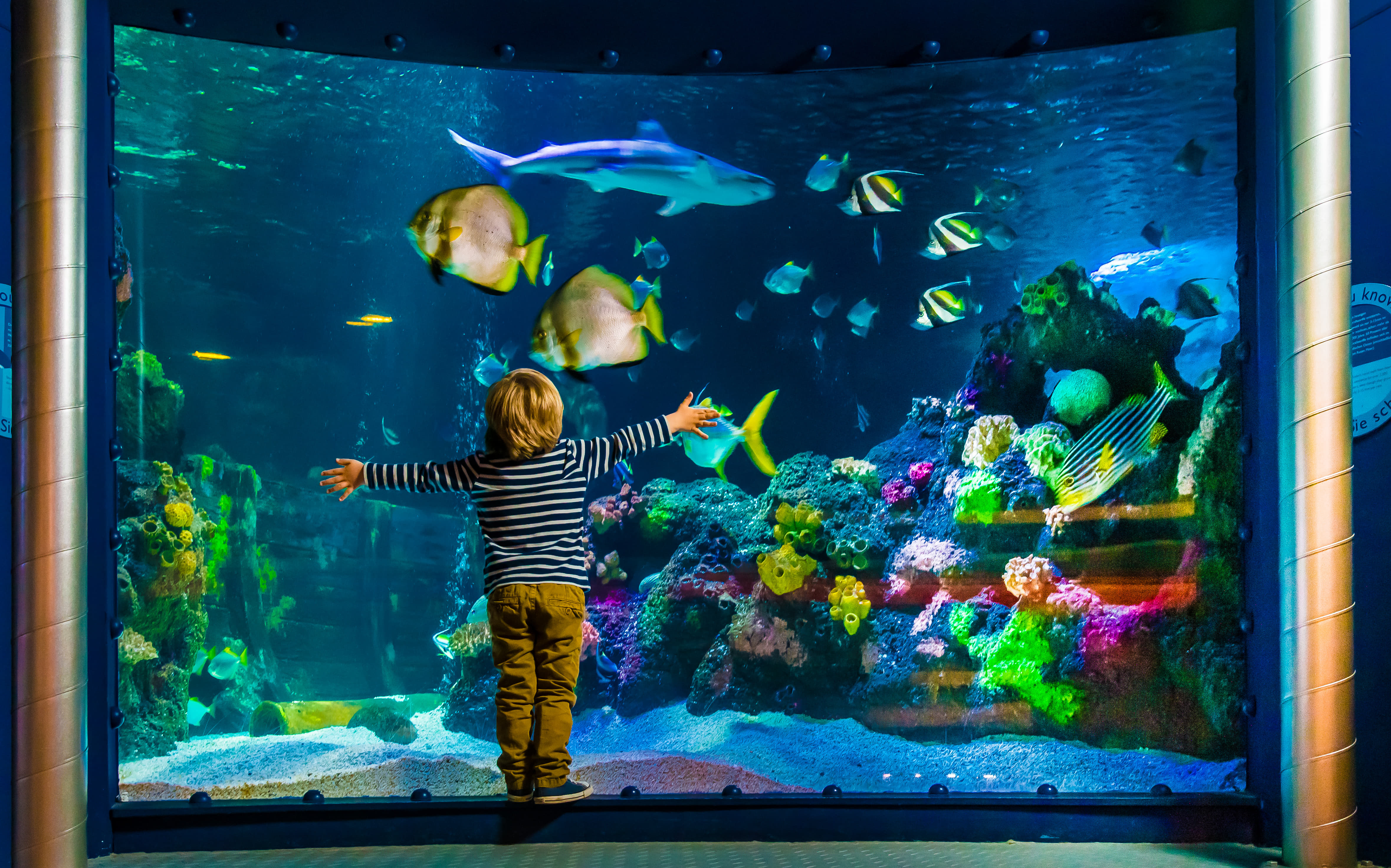 Aquadom and Sea Life Tickets, Berlin Book Now Best Price