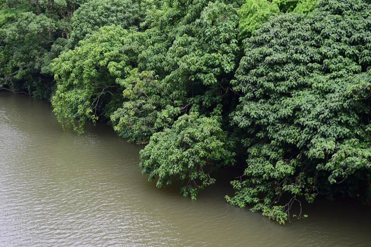Shendurney Wildlife Sanctuary