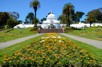San Francisco Botanical Garden