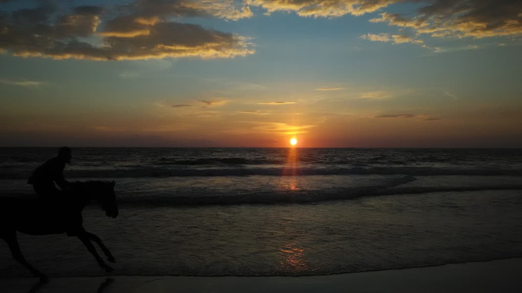 Varkala Sightseeing tour Image