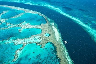 Great Barrier Reef Tours