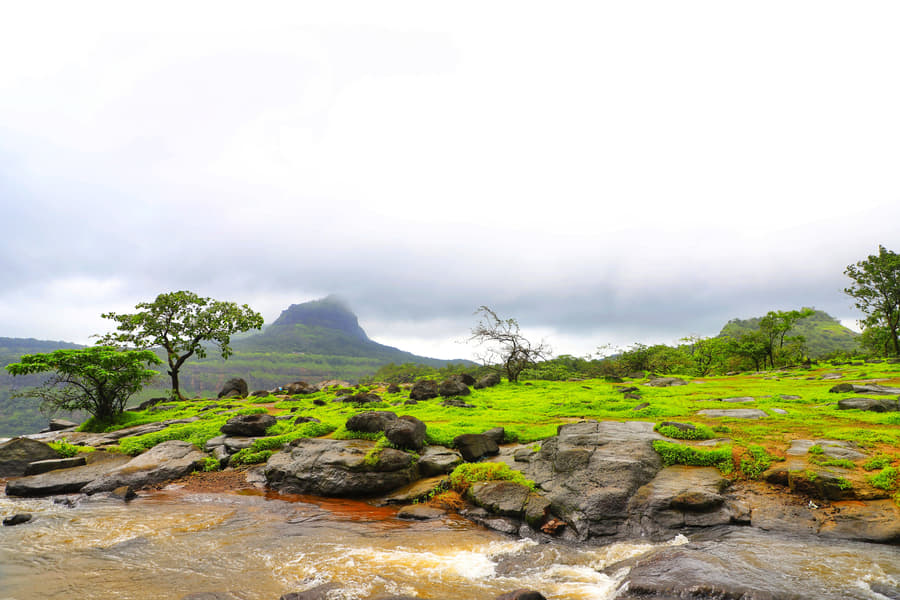 Rajmachi Camping Image