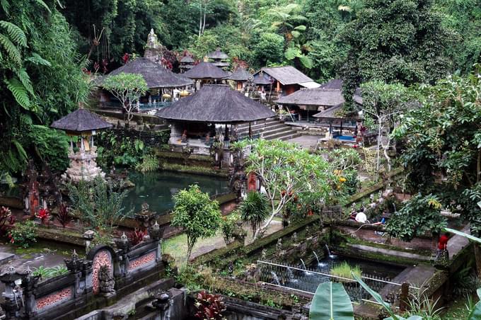 Ubud Monkey Forest Tours