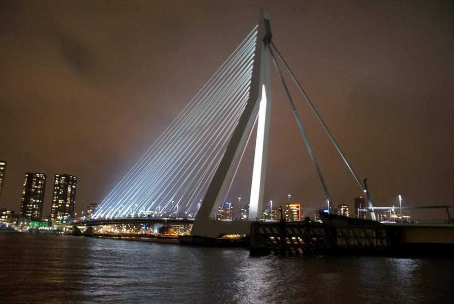 Rotterdam, Delft & The Hague Full-Day Tour