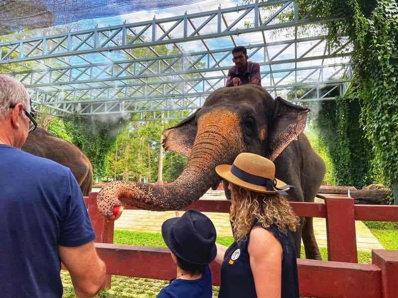 Elephant Show