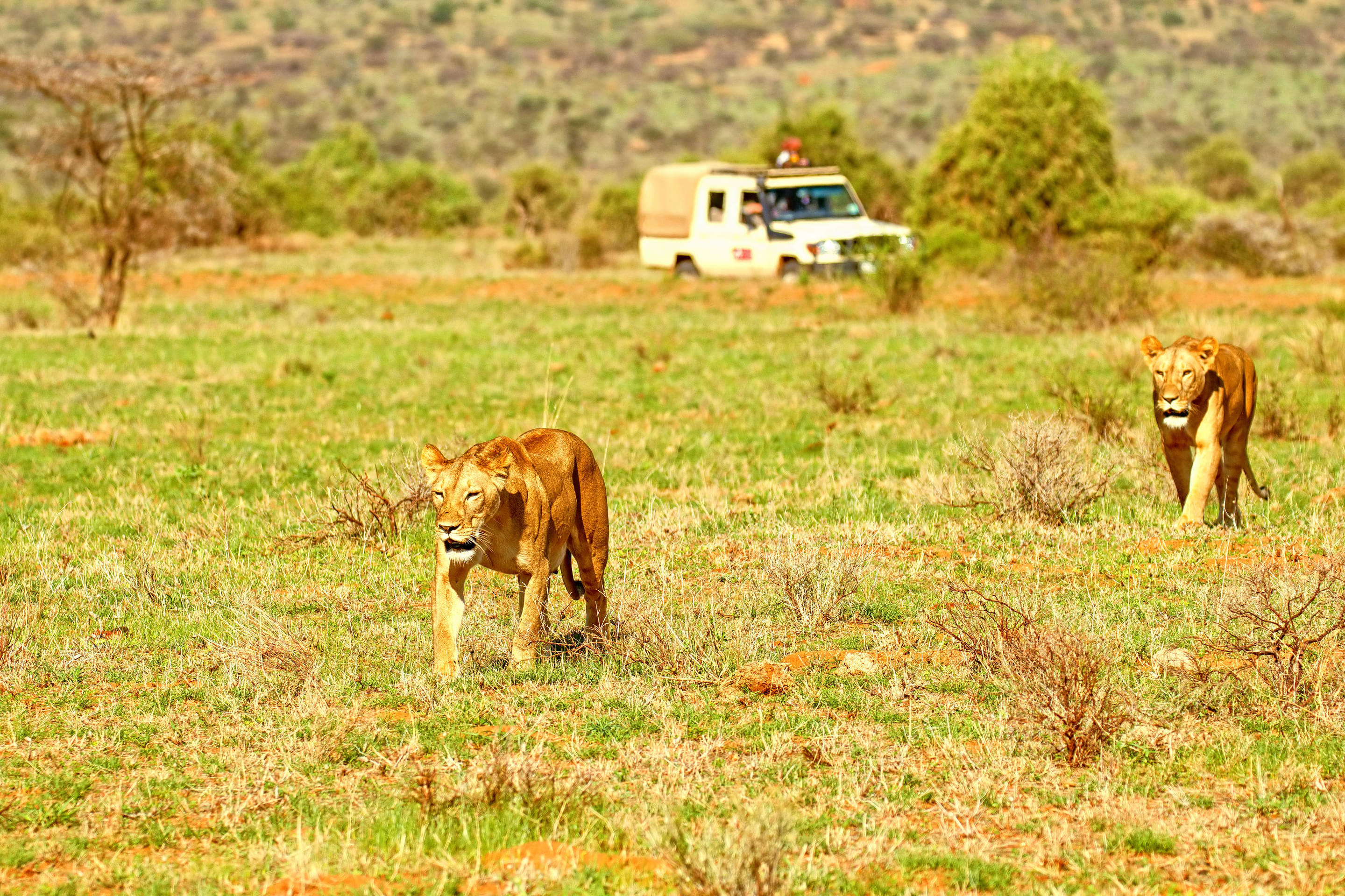 Samburu National Reserve Overview