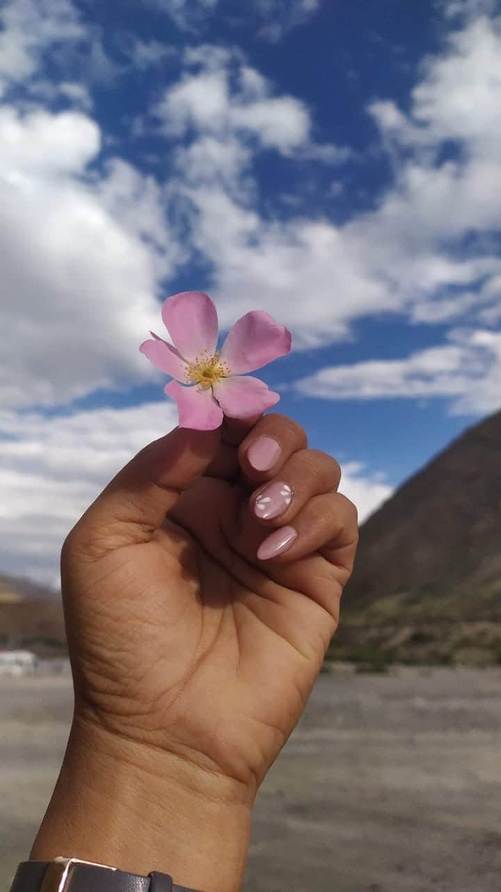Photo from Jignasha vinjuda's trip