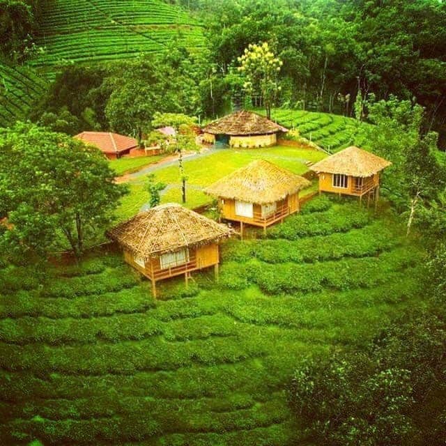 Homestays options in Wayanad