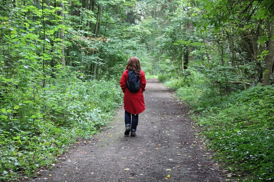 Nature Walk In Thekkady Image