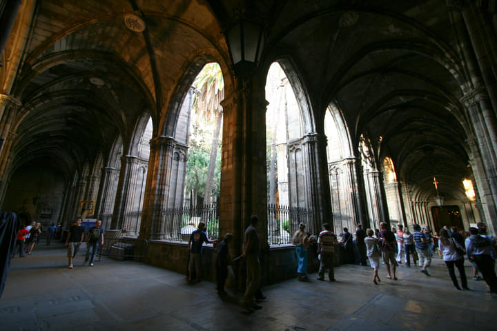Cloister of Cathedral of Barcelona