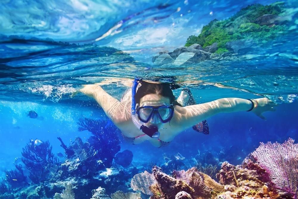 Explore the Underwater World with a Snorkelling Session
