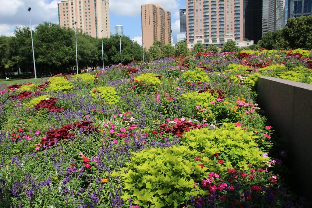Discovery Green Park, Houston Overview