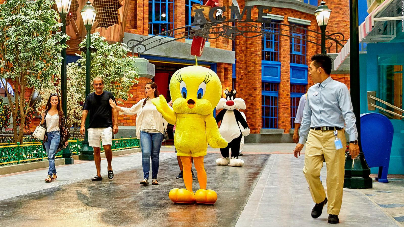 Have a meet and greet with Looney tunes's iconic character, Tweety