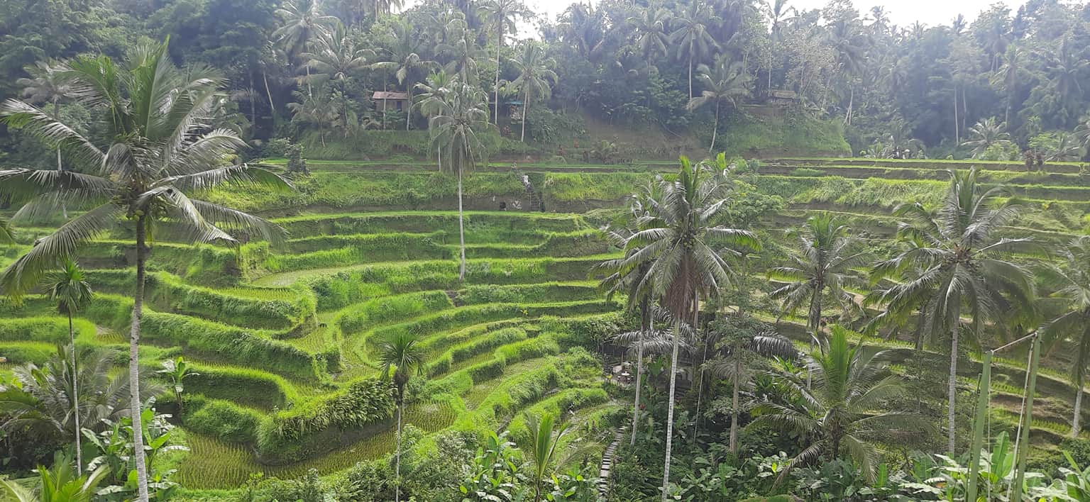 Photo from Vikas verma's trip